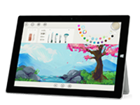 湖里Surface 无法开启、Windows 无法启动或电池无法充电
