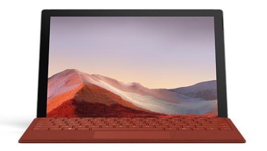 湖里清洁和维护 Surface